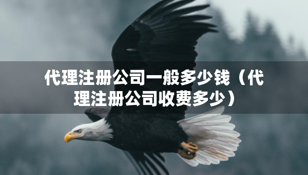 代理注冊(cè)公司一般多少錢(qián)（代理注冊(cè)公司收費(fèi)多少）