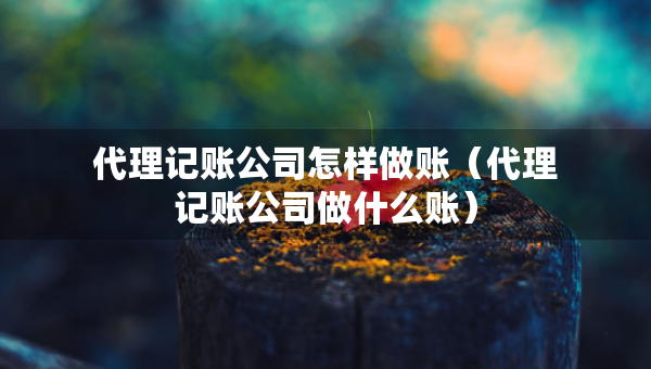 代理記賬公司怎樣做賬（代理記賬公司做什么賬）