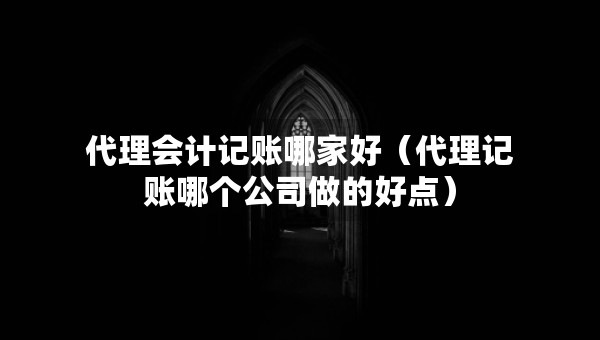 代理會(huì)計(jì)記賬哪家好（代理記賬哪個(gè)公司做的好點(diǎn)）