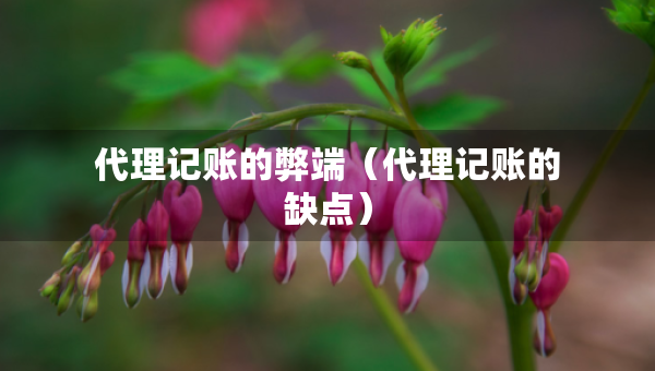 代理記賬的弊端（代理記賬的缺點(diǎn)）