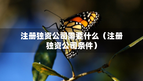 注冊(cè)獨(dú)資公司需要什么（注冊(cè)獨(dú)資公司條件）