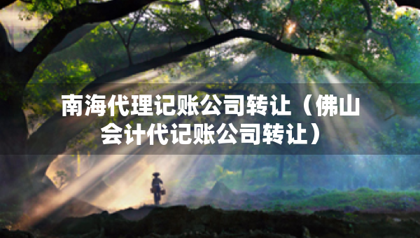 南海代理記賬公司轉(zhuǎn)讓（佛山會(huì)計(jì)代記賬公司轉(zhuǎn)讓）