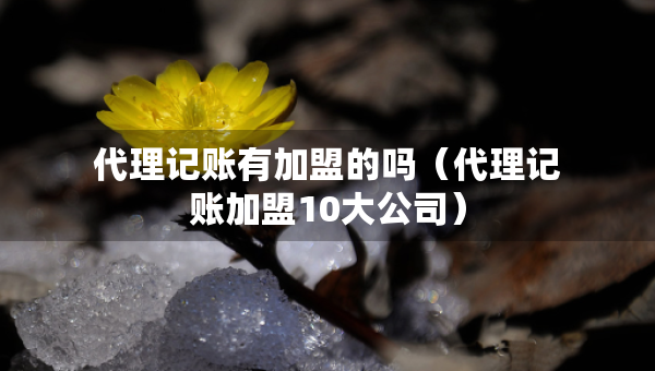 代理記賬有加盟的嗎（代理記賬加盟10大公司）