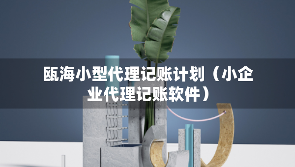 甌海小型代理記賬計劃（小企業(yè)代理記賬軟件）