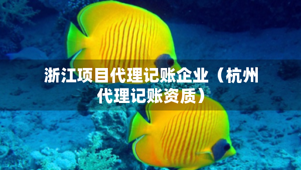 浙江項目代理記賬企業(yè)（杭州代理記賬資質(zhì)）