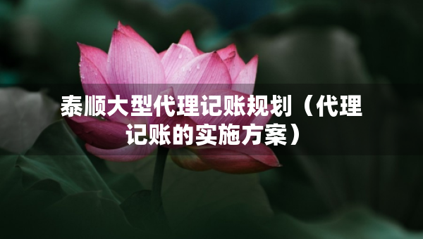 泰順大型代理記賬規(guī)劃（代理記賬的實(shí)施方案）