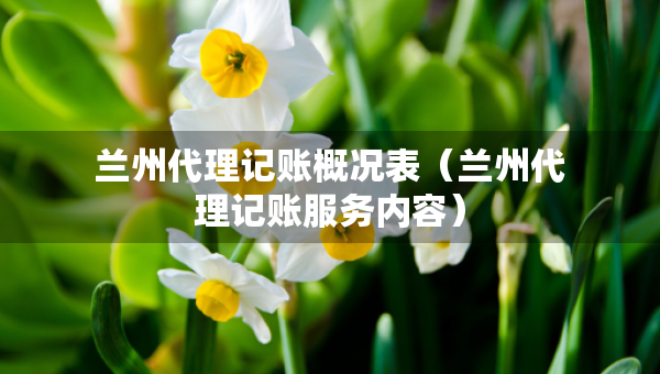 蘭州代理記賬概況表（蘭州代理記賬服務(wù)內(nèi)容）