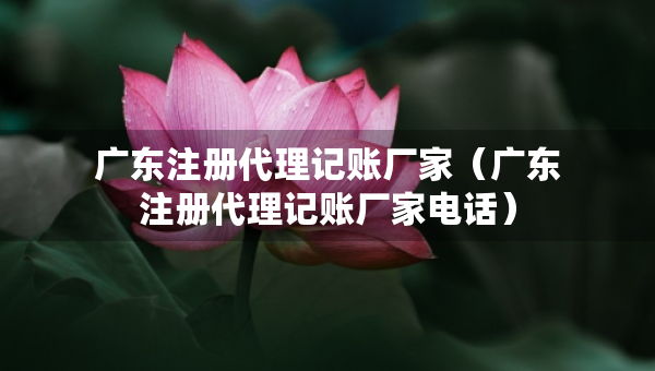 廣東注冊(cè)代理記賬廠家（廣東注冊(cè)代理記賬廠家電話）