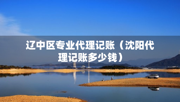 遼中區(qū)專業(yè)代理記賬（沈陽代理記賬多少錢）