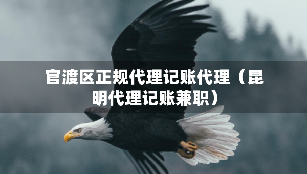 官渡區(qū)正規(guī)代理記賬代理（昆明代理記賬兼職）