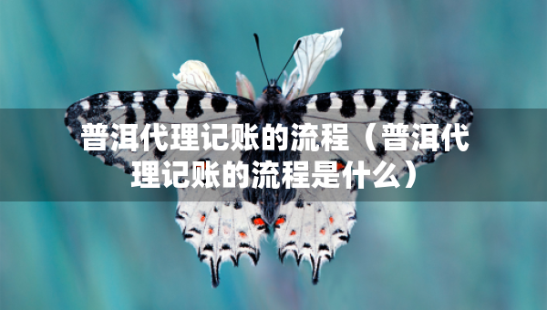 普洱代理記賬的流程（普洱代理記賬的流程是什么）