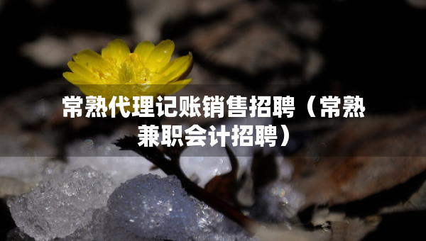 常熟代理記賬銷(xiāo)售招聘（常熟兼職會(huì)計(jì)招聘）