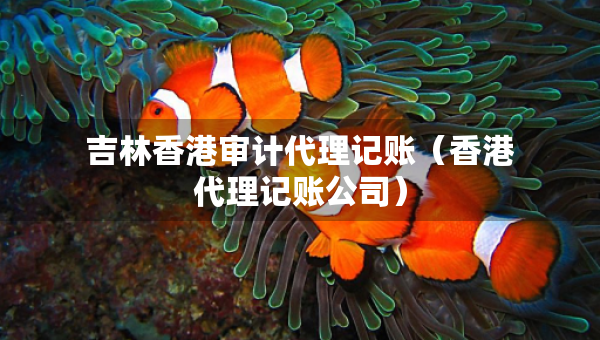 吉林香港審計代理記賬（香港代理記賬公司）