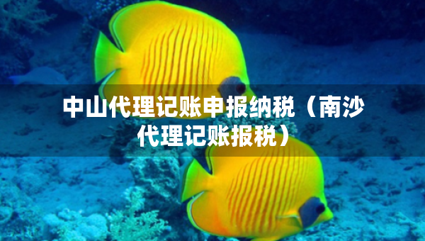 中山代理記賬申報(bào)納稅（南沙代理記賬報(bào)稅）