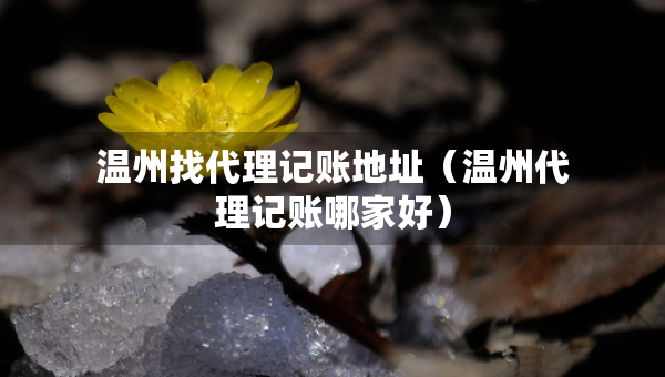 溫州找代理記賬地址（溫州代理記賬哪家好）