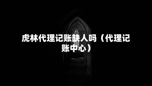 虎林代理記賬缺人嗎（代理記賬中心）