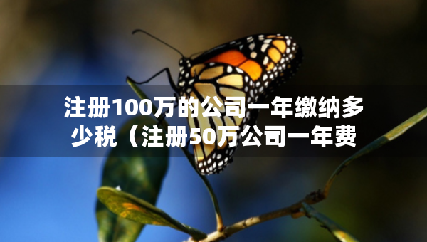 注冊(cè)100萬(wàn)的公司一年繳納多少稅（注冊(cè)50萬(wàn)公司一年費(fèi)用）