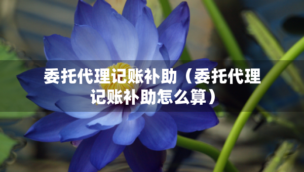 委托代理記賬補(bǔ)助（委托代理記賬補(bǔ)助怎么算）