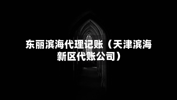 東麗濱海代理記賬（天津濱海新區(qū)代賬公司）