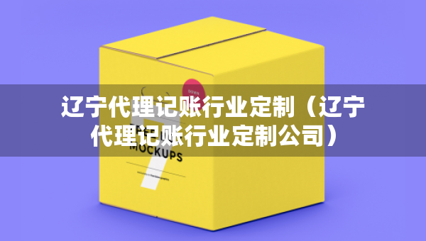 遼寧代理記賬行業(yè)定制（遼寧代理記賬行業(yè)定制公司）