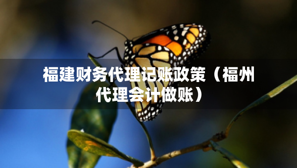 福建財(cái)務(wù)代理記賬政策（福州代理會(huì)計(jì)做賬）