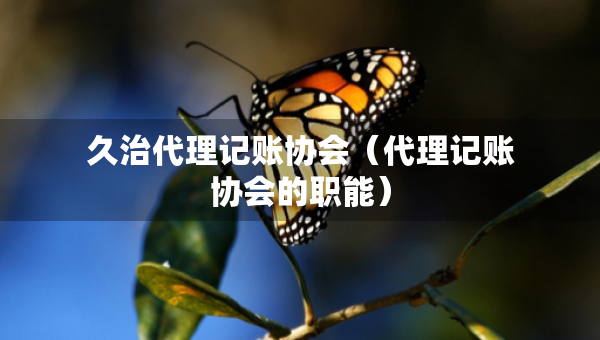 久治代理記賬協(xié)會(huì)（代理記賬協(xié)會(huì)的職能）