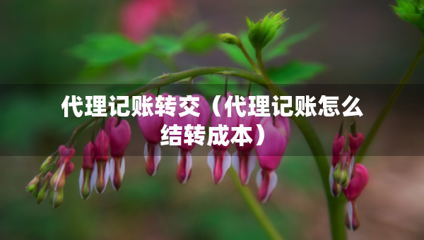 代理記賬轉(zhuǎn)交（代理記賬怎么結(jié)轉(zhuǎn)成本）