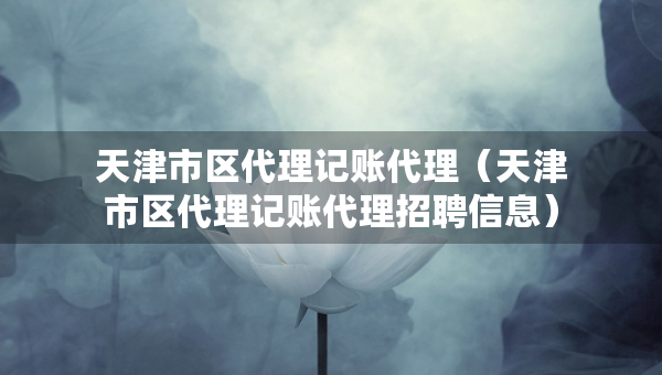 天津市區(qū)代理記賬代理（天津市區(qū)代理記賬代理招聘信息）