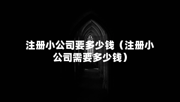 注冊(cè)小公司要多少錢（注冊(cè)小公司需要多少錢）