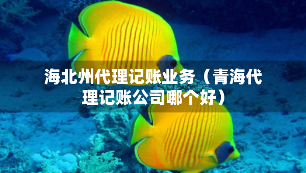 海北州代理記賬業(yè)務(wù)（青海代理記賬公司哪個好）