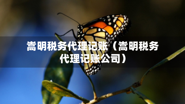 嵩明稅務(wù)代理記賬（嵩明稅務(wù)代理記賬公司）