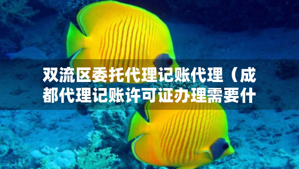 雙流區(qū)委托代理記賬代理（成都代理記賬許可證辦理需要什么條件）