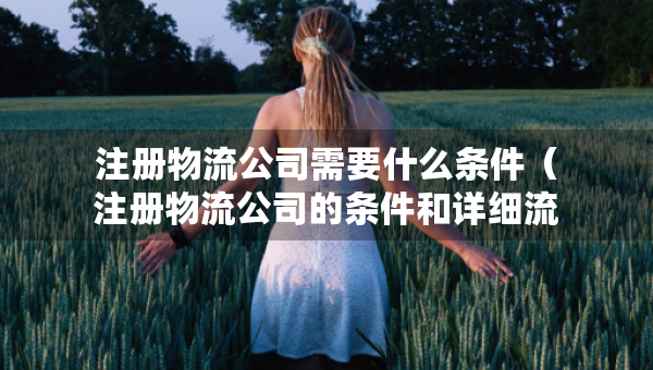 注冊(cè)物流公司需要什么條件（注冊(cè)物流公司的條件和詳細(xì)流程?）