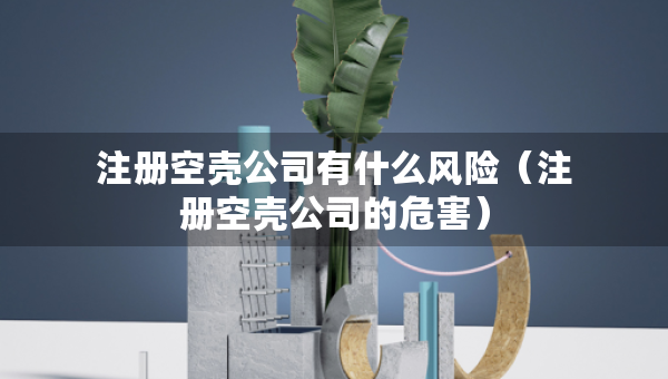 注冊空殼公司有什么風(fēng)險（注冊空殼公司的危害）