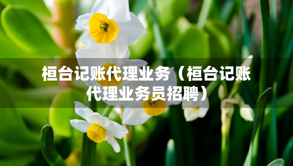 桓臺記賬代理業(yè)務(wù)（桓臺記賬代理業(yè)務(wù)員招聘）