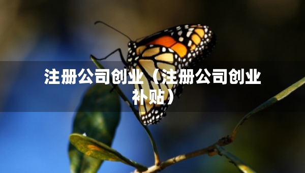 注冊公司創(chuàng)業(yè)（注冊公司創(chuàng)業(yè)補(bǔ)貼）