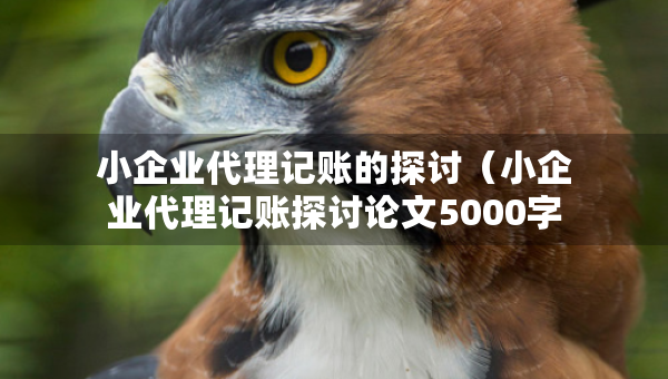 小企業(yè)代理記賬的探討（小企業(yè)代理記賬探討論文5000字）