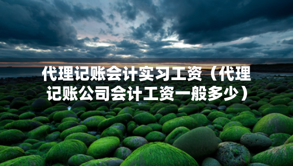 代理記賬會計(jì)實(shí)習(xí)工資（代理記賬公司會計(jì)工資一般多少）