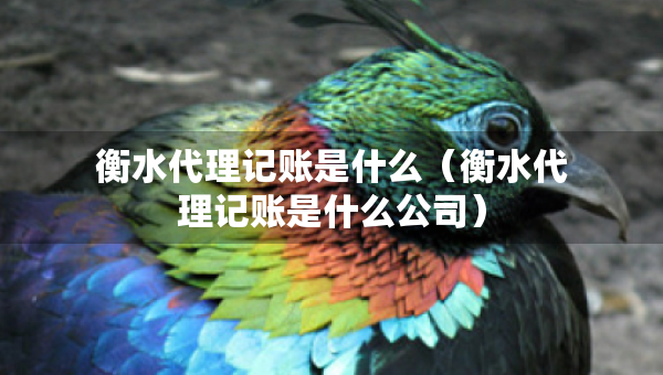 衡水代理記賬是什么（衡水代理記賬是什么公司）