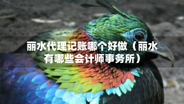 麗水代理記賬哪個好做（麗水有哪些會計師事務(wù)所）