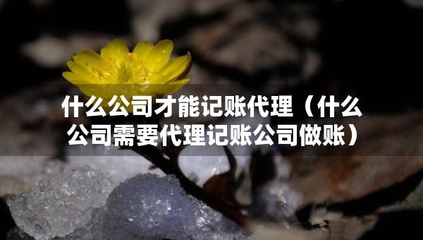 什么公司才能記賬代理（什么公司需要代理記賬公司做賬）