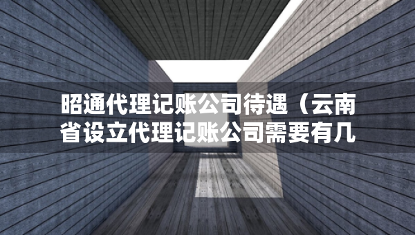 昭通代理記賬公司待遇（云南省設(shè)立代理記賬公司需要有幾個(gè)人）