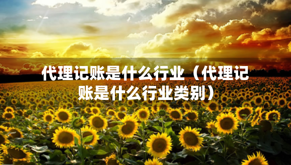 代理記賬是什么行業(yè)（代理記賬是什么行業(yè)類別）