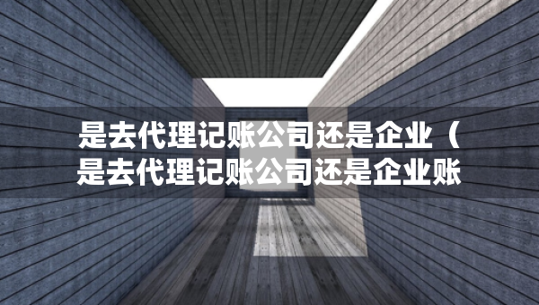 是去代理記賬公司還是企業(yè)（是去代理記賬公司還是企業(yè)賬戶）