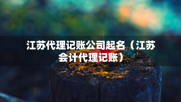 江蘇代理記賬公司起名（江蘇會計(jì)代理記賬）