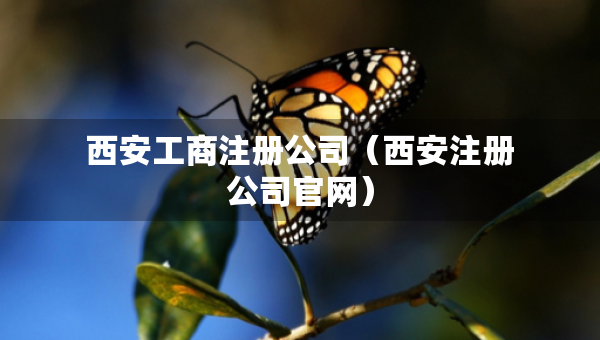 西安工商注冊(cè)公司（西安注冊(cè)公司官網(wǎng)）