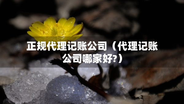 正規(guī)代理記賬公司（代理記賬公司哪家好?）