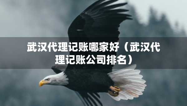 武漢代理記賬哪家好（武漢代理記賬公司排名）