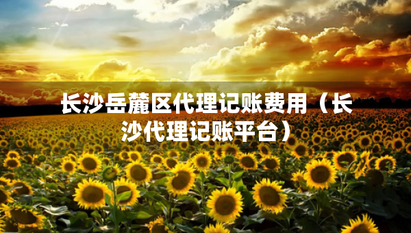 長(zhǎng)沙岳麓區(qū)代理記賬費(fèi)用（長(zhǎng)沙代理記賬平臺(tái)）