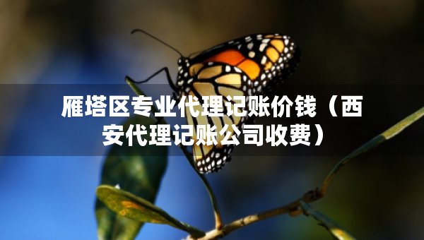 雁塔區(qū)專業(yè)代理記賬價(jià)錢（西安代理記賬公司收費(fèi)）